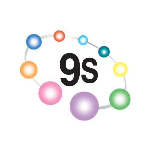 9S SYSTEM
