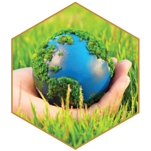 ECO FtRIENDLY