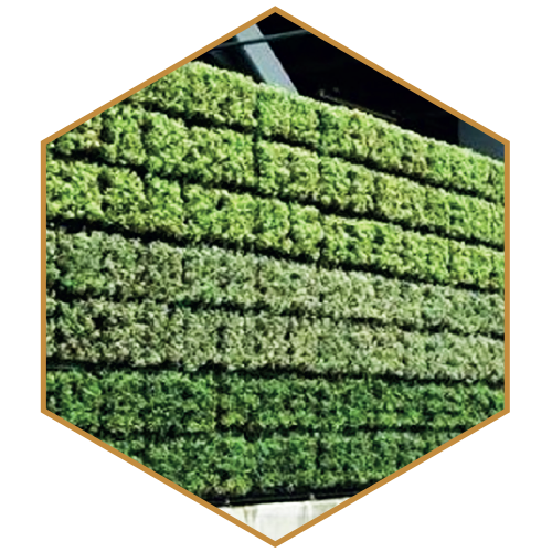 GREEN WALL
